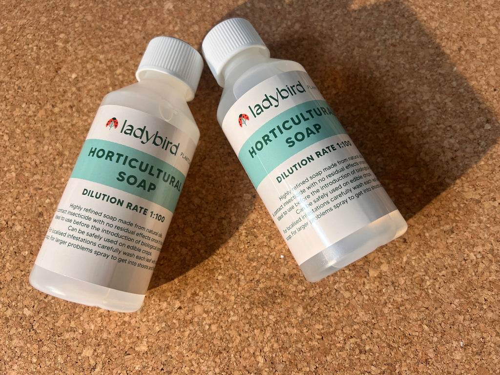 Two bottles of Horticultural Soap by ladybirdplantcare.co.uk rest on a cork surface. Each features a white cap and green label showing "Dilution Rate 1:100" along with product information.