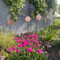 Handmade Bespoke Allium Heads