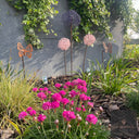 Handmade Allium Heads by LV Bespoke | Year-Round Garden Structure