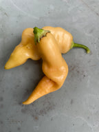 Sugar Rush Peach Chilli