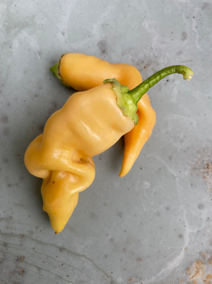 Fresh Sugar Rush Peach Chilli peppers on a textured surface, showcasing their unique shape and vibrant yellow colour.