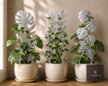 Three metal indoor plant supports with leaf designs in white pots