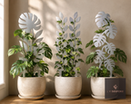 Three metal indoor plant supports with leaf designs in white pots