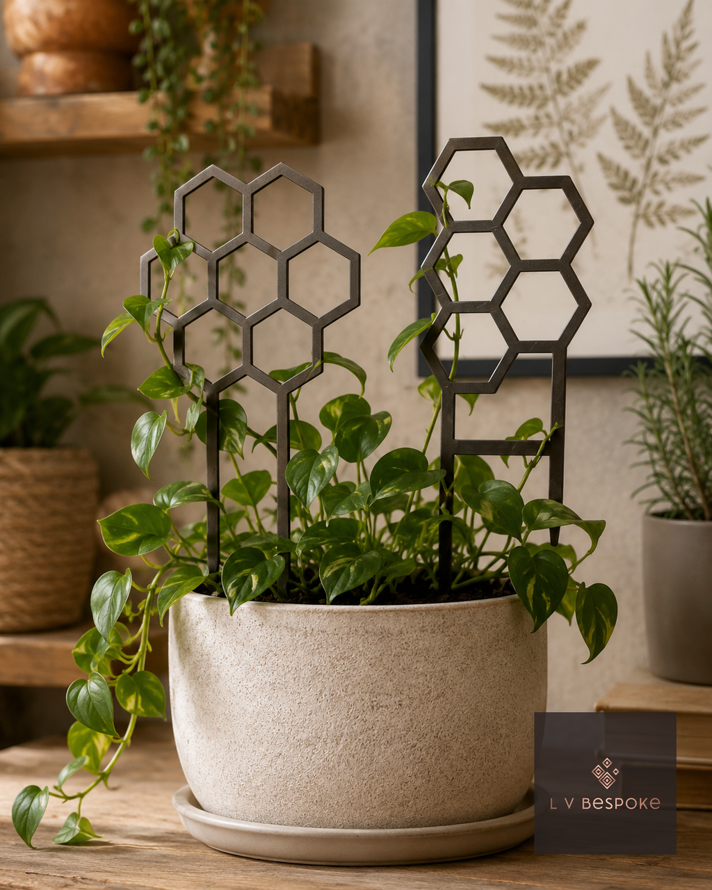 Honeycomb metal plant support in a pot with a trailing plant