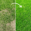 Dandy's Fill & Fix Lawn Patch Repair Blend | Topsoil