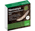 Box of Leatherjacket Nematodes by ladybirdplantcare.co.uk features an image of a leatherjacket grub, product info in white text, and contains Steinernema feltiae beneficial nematodes for natural control of leatherjackets.