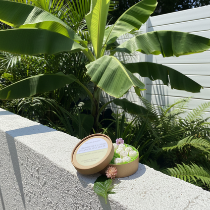 Lemongrass &amp; Ginger Botanical Wax Melts