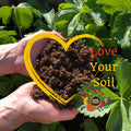 Two hands hold rich soil shaped like a heart, surrounded by green plants. Overlay text: Love Your Soil with a yellow heart outline and flower graphic. Highlights Natural Grower’s Natural Plant Feed 22L "Bag in a Box" for healthy plant growth.