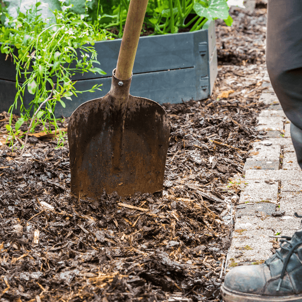 A person uses a rusty shovel to turn dark, moist soil enriched with Dandy's Topsoil & Landscape Supplies Manure Farmyard beside a stone path and a raised vegetable bed with leafy greens.