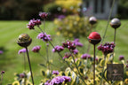 Glass marble garden stakes among purple verbena in a lawn