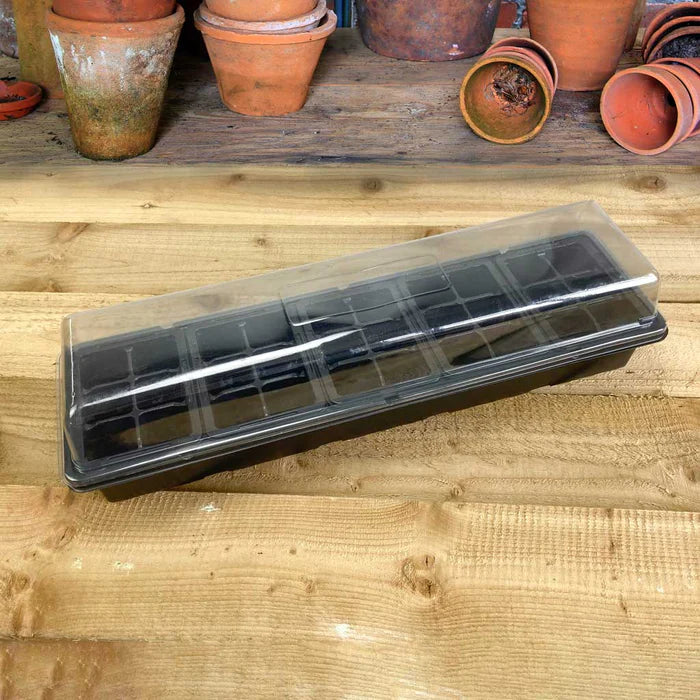 Tildenet Windowsill Greenhouse | 30 Cells, Black