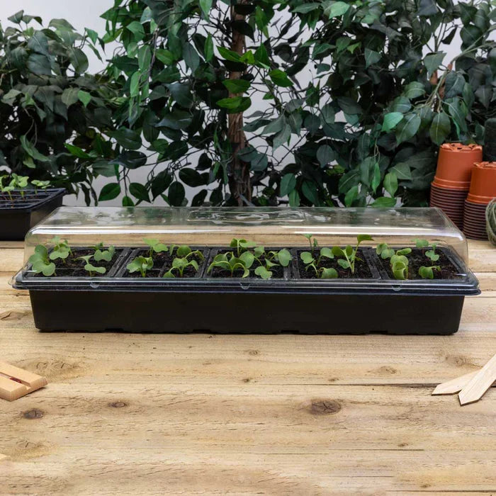 Tildenet Windowsill Greenhouse | 30 Cells, Black
