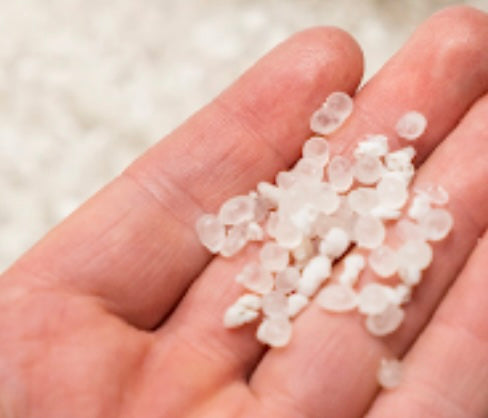 Fungus Gnats &amp; Thrips pupae Nematode Slow Release Pearls