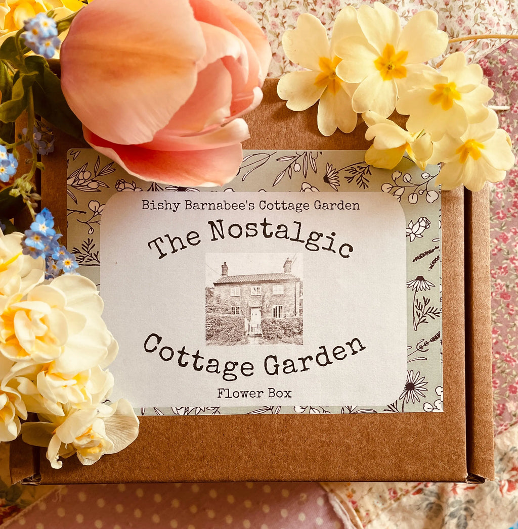 A brown box labeled "The Nostalgic Cottage Garden Flower Box - 24 Packets" from Bishy Barnabees Cottage Garden sits among pastel blooms, evoking a vintage springtime vibe—ideal for gifting cottage garden seeds.
