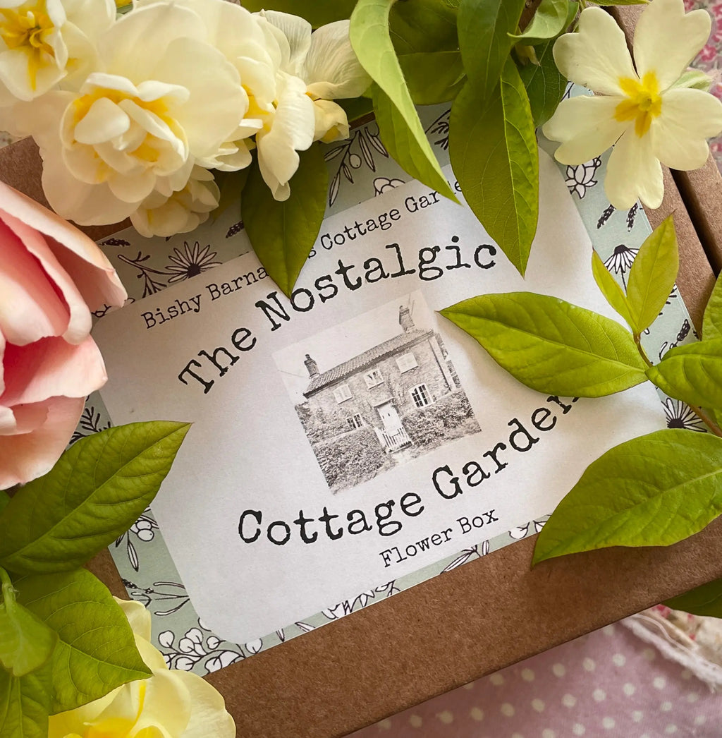 The Nostalgic Cottage Garden Flower Box - 24 Packets by Bishy Barnabees Cottage Garden features a charming, vintage-themed box surrounded by green leaves and pastel flowers, including roses and primroses, with cottage garden seeds inside.