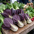 Pak Choi Rubi
