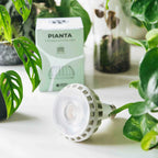 Grow Gang Pianta Full Spectrum Plant Light Bulb beside its box and houseplants