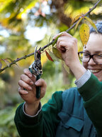 Burgon & Ball RHS Pocket Pruner – Racing Green Handles