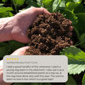 Hands holding dark, rich compost above green leafy plants in a garden. A review notes Natural Grower’s Natural Plant Feed 50L Bag works well as slow-release fertiliser and mulch, promoting healthy growth and increased worm activity.