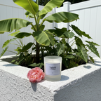 A Rose Scented Candle by Tadpole & Piglet, made from natural soy wax, sits next to a pink flower on a white planter with lush green plants, all set against a white fence in bright sunlight.