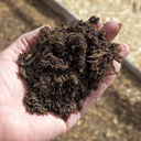Dandy's SummerMix Compost & Garden Mulch | Moisture-Retention Mulch