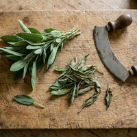 Sage Common