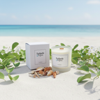 The Tadpole & Piglet Seychelles Scented Candle and its box rest on sand amid seashells and green leaves, with the ocean behind. Made from natural soy wax, this candle features an FSC-Certified Wooden Wick.