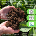Hands holding rich compost over green plants, with text: Natural Grower Natural Plant Feed 22L "Bag in a Box"—certified organic, biodynamic & vegan. Chemical-free, slow-release feed boosts growth, blooms & fruiting. 100% recyclable packaging for all plants.