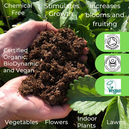 Natural Plant Feed 22L "Bag in a Box"