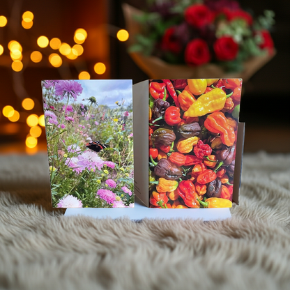 Summers Day Greeting Card