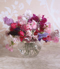 Sweet Pea Sweet Dreams – pink, white, purple and crimson blooms in a round glass vase
