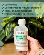 A hand holds a Horticultural Soap bottle from ladybirdplantcare.co.uk by a leafy plant. Text shows it's easy to use, made with natural oils for contact insect control, and safe for beneficial insects—perfect for fast plant care.