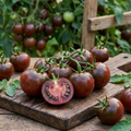 Tomato Black Russian – dark mahogany tomatoes, one sliced, on a wooden board