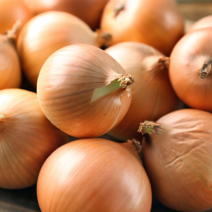 A close-up of several whole Onion Ailsa Craig from Bishy Barnabees Cottage Garden Ltd shows their smooth, light brown skins clustered together, unpeeled layers creating natural color and rounded shapes filling the frame.