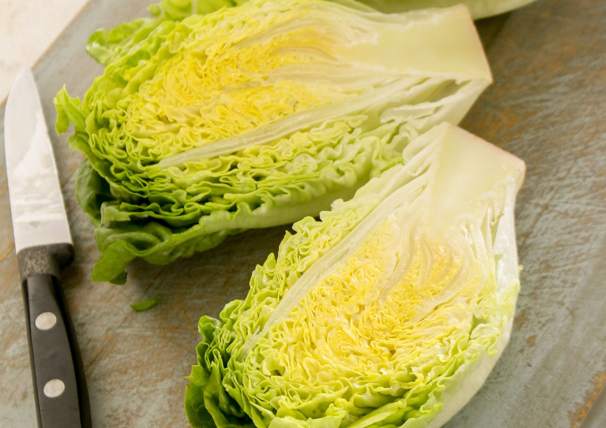 Lettuce Little Gem (Cos)