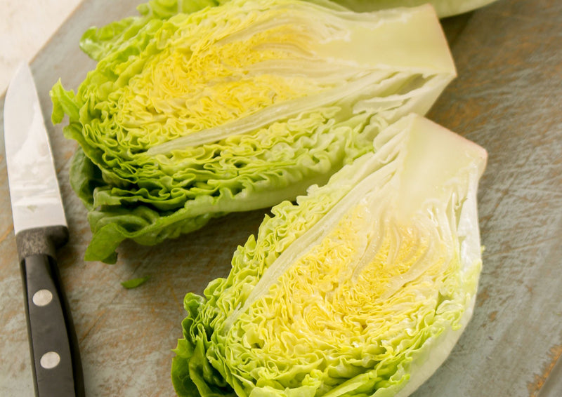 Lettuce Little Gem (Cos)
