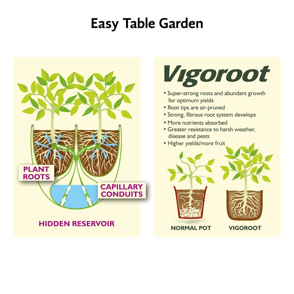 Vigoroot Easy Table Garden | Self-Watering with Cover