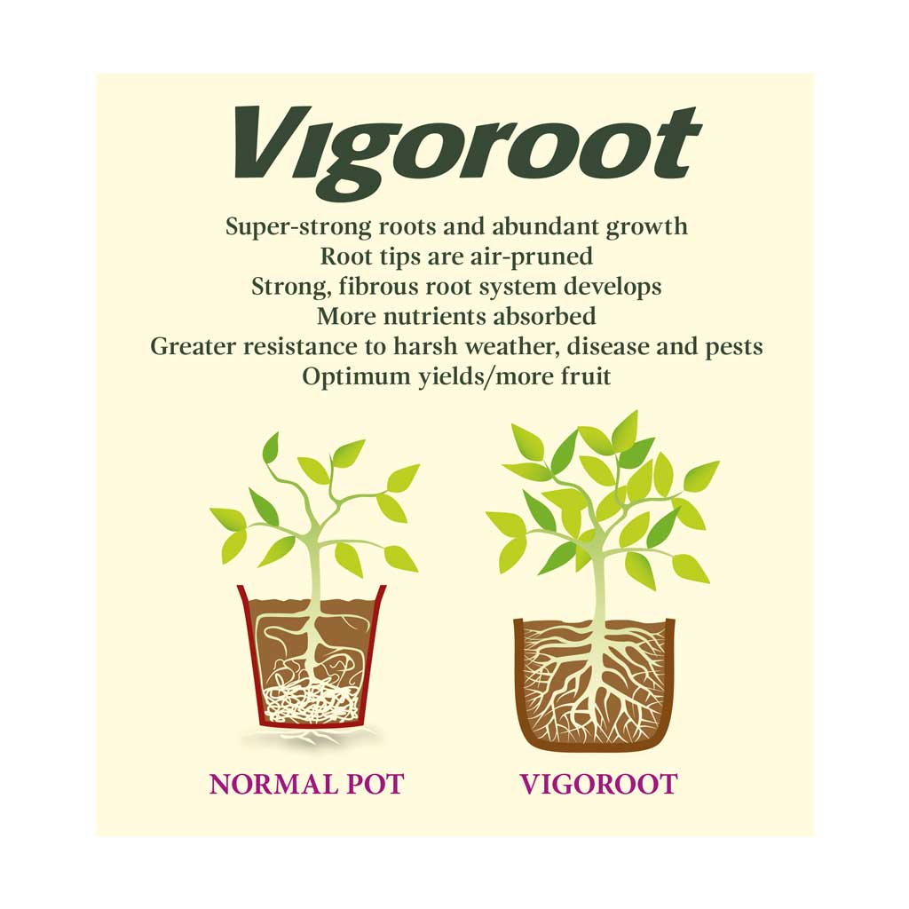 Vigoroot Herb Planter | 40 Litre Fabric Planter