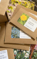 Several brown seed packets from Bishy Barnabees Cottage Garden Ltd’s A Year in a Cottage Garden - Flower Box (24 Packs) are shown stacked, featuring flower images, names like Calendula Winter Sun, and average seed counts—ideal for cottage gardens.