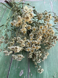 The Achillea Ballerina Dried bouquet by Bishy Barnabees Cottage Garden Ltd features light-hued, delicate stems and double white blooms. Its rustic look is ideal as filler for a wedding bouquet, displayed on a distressed green wooden surface.