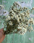 A hand holds a bunch of Achillea Ballerina Dried flowers by Bishy Barnabees Cottage Garden Ltd, featuring double white blooms with yellow centers—ideal as wedding bouquet filler—set against a distressed green wooden background.