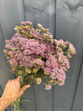 A hand holds a bouquet of Achillea Mix Dried by Bishy Barnabees Cottage Garden Ltd, featuring pastel yarrow and small purple flowers before a gray wooden fence, evoking English cottage garden charm.