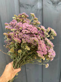 A hand holds Bishy Barnabees Cottage Garden Ltd’s Achillea Mix Dried bouquet—purple flowers and green stems—set against a gray wooden background.
