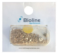 Aphid Midge pack – white blister pack with granular carrier and larvae