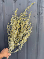 Hand holding a bundle of dried Artemisia with yellow flowers against a grey wooden wall