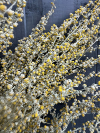 A close-up of dried yellow wildflowers with round blooms and thin stems, arranged next to Artemisia Dried by Bishy Barnabees Cottage Garden Ltd on a dark wooden background.