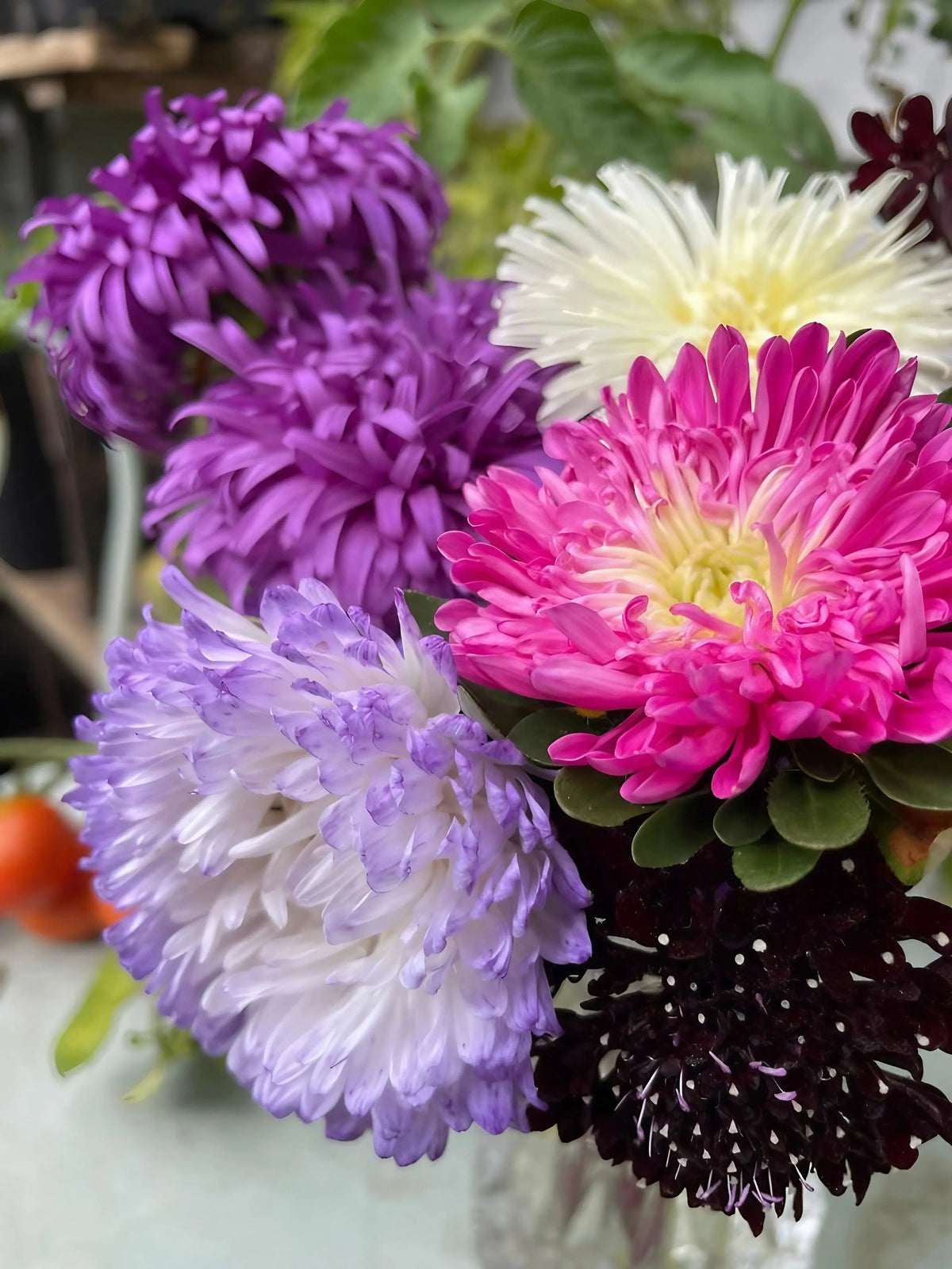 Bouquet of purple, pink, white and lavender Aster Peony Mix