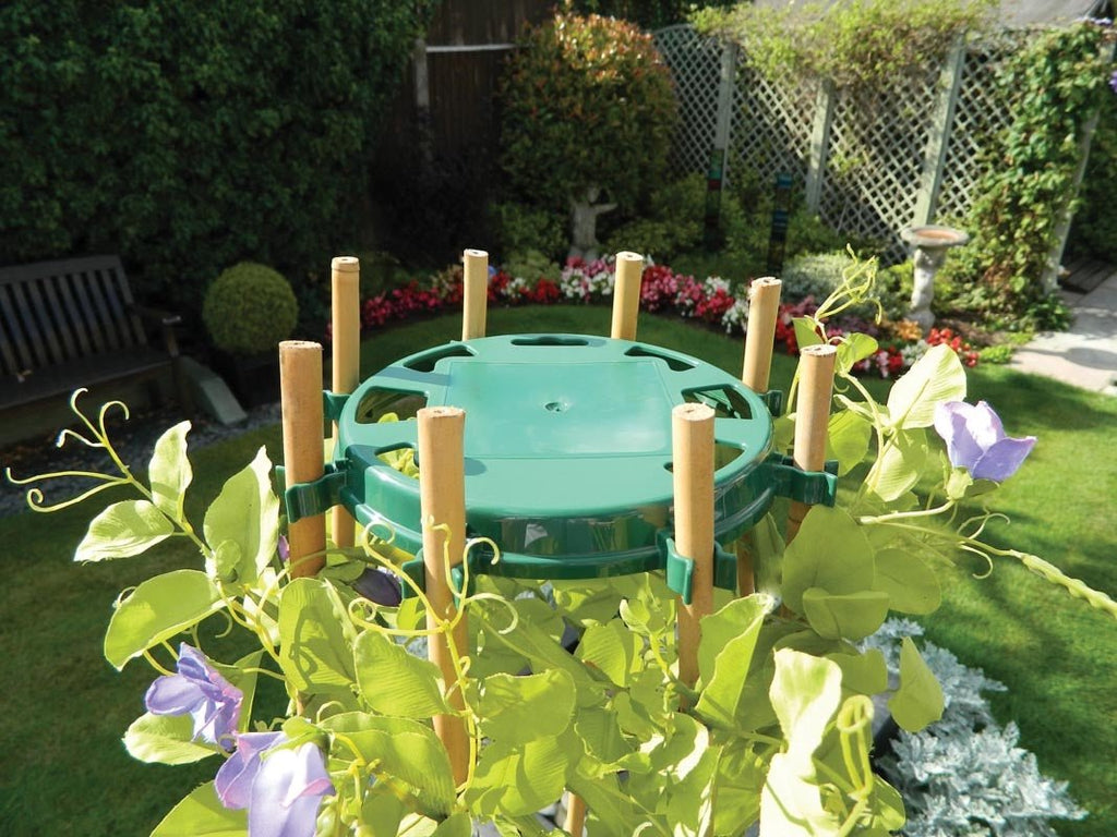 Bean & Pea Support Ring by Garland - 8 Cane Wigwam