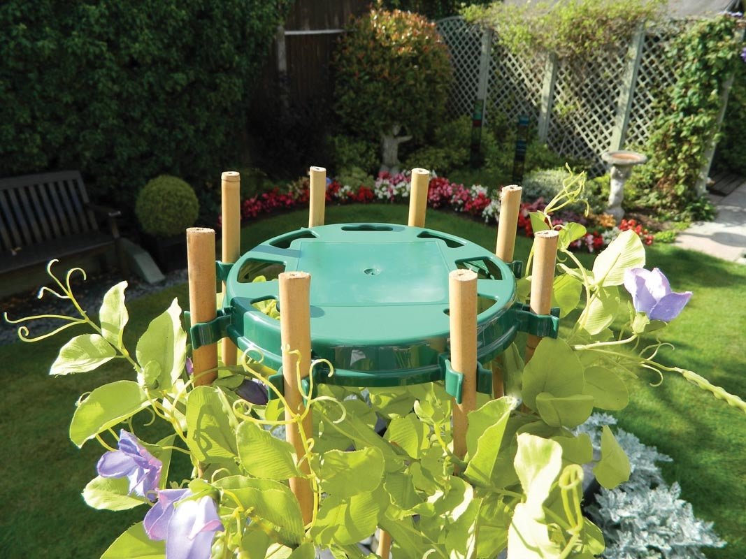 Bean & Pea Support Ring by Garland - 8 Cane Wigwam