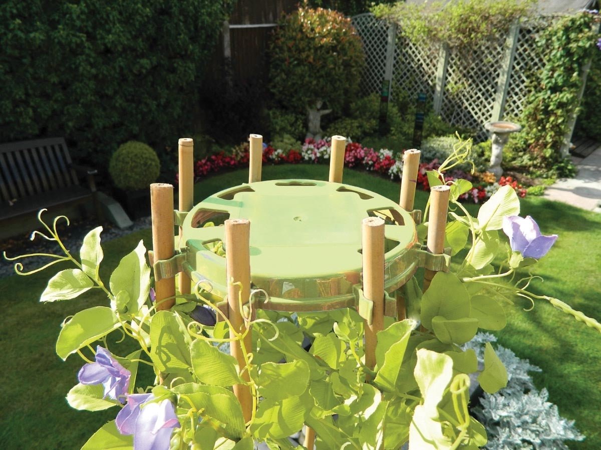Bean & Pea Support Ring by Garland - 8 Cane Wigwam